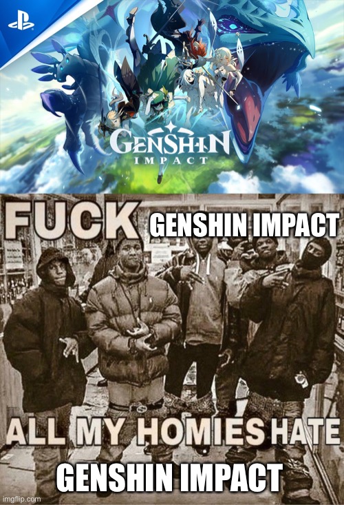 GENSHIN IMPACT; GENSHIN IMPACT | image tagged in all my homies hate | made w/ Imgflip meme maker