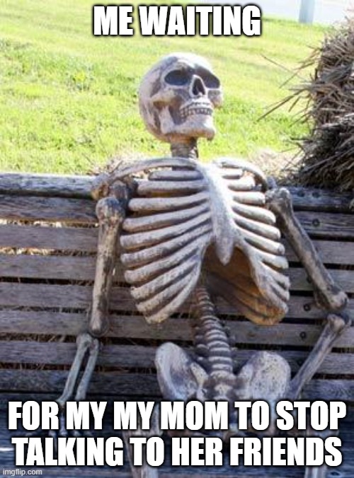 TOOOO LOOOOOONG | ME WAITING; FOR MY MY MOM TO STOP TALKING TO HER FRIENDS | image tagged in memes,waiting skeleton | made w/ Imgflip meme maker