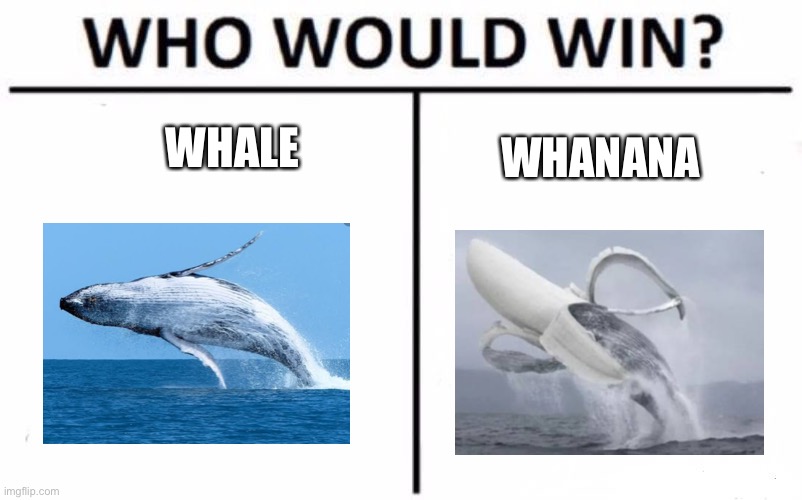 Whanana | WHALE; WHANANA | image tagged in memes,who would win | made w/ Imgflip meme maker