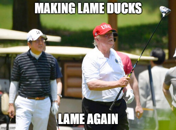 lame | MAKING LAME DUCKS; LAME AGAIN | image tagged in funny | made w/ Imgflip meme maker