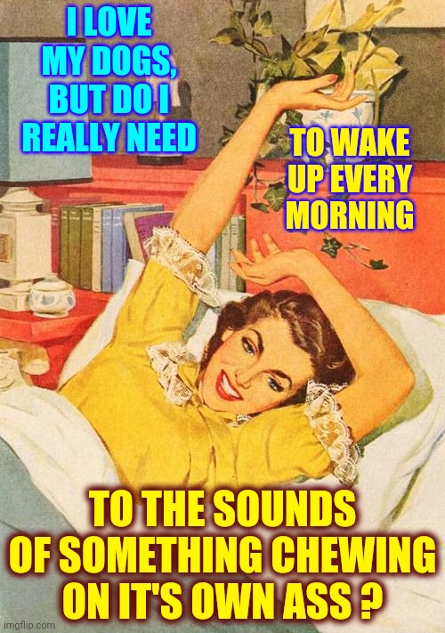 Wake Up Call | I LOVE MY DOGS, BUT DO I REALLY NEED; TO WAKE UP EVERY MORNING; TO THE SOUNDS OF SOMETHING CHEWING ON IT'S OWN ASS ? | image tagged in vintage,funny dogs,dogs,dogs pets funny,memes,puppy love | made w/ Imgflip meme maker