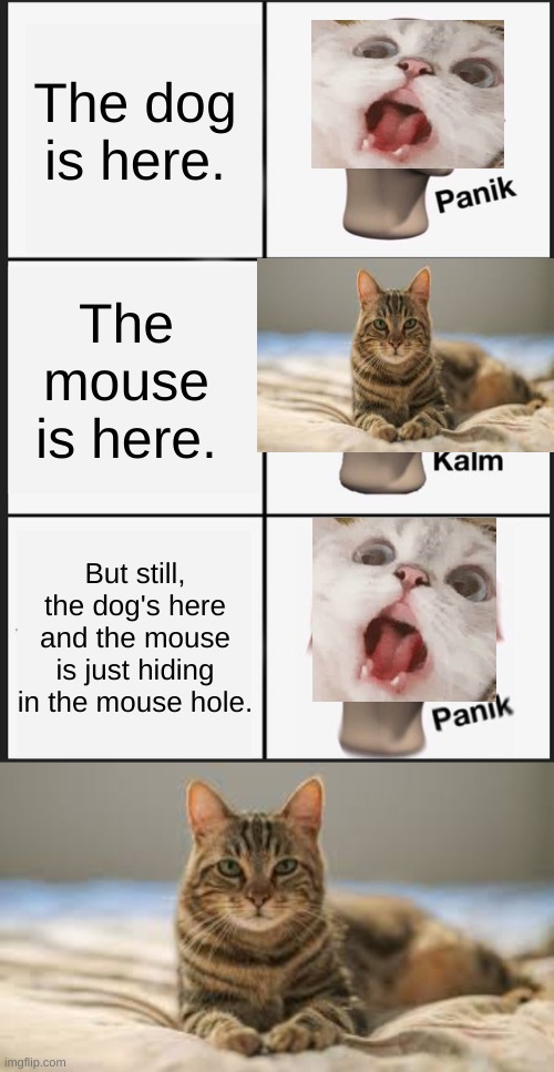 Cat dog mouse meme. | The dog is here. The mouse is here. But still, the dog's here and the mouse is just hiding in the mouse hole. | image tagged in memes,panik kalm panik | made w/ Imgflip meme maker