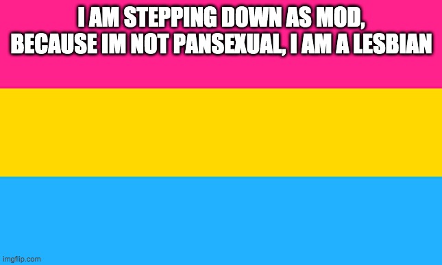sorry guys, but i have found my true calling. | I AM STEPPING DOWN AS MOD, BECAUSE IM NOT PANSEXUAL, I AM A LESBIAN | image tagged in pan flag,lesbians | made w/ Imgflip meme maker