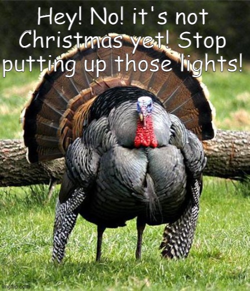 It's depressing me that people are celebrating Christmas in November ;-; | Hey! No! it's not Christmas yet! Stop putting up those lights! | image tagged in thanksgiving day,christmas lights,early christmas | made w/ Imgflip meme maker