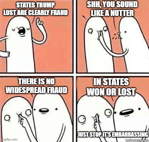 Just Stop | SHH, YOU SOUND LIKE A NUTTER; STATES TRUMP LOST ARE CLEARLY FRAUD; IN STATES WON OR LOST; THERE IS NO WIDESPREAD FRAUD; JUST STOP IT'S EMBARRASSING | image tagged in shh,donald trump,election 2020,biden | made w/ Imgflip meme maker