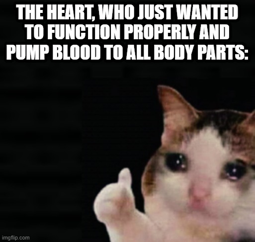 Thumbs up crying cat | THE HEART, WHO JUST WANTED TO FUNCTION PROPERLY AND PUMP BLOOD TO ALL BODY PARTS: | image tagged in thumbs up crying cat | made w/ Imgflip meme maker