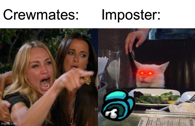 Woman Yelling At Cat | Crewmates:; Imposter: | image tagged in memes,woman yelling at cat | made w/ Imgflip meme maker