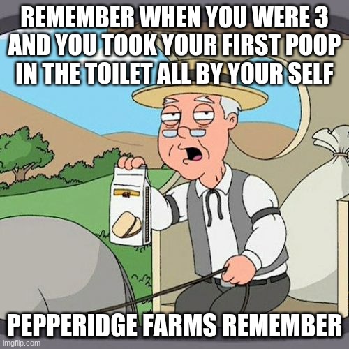 Pepperidge Farm Remembers Meme | REMEMBER WHEN YOU WERE 3 AND YOU TOOK YOUR FIRST POOP IN THE TOILET ALL BY YOUR SELF; PEPPERIDGE FARMS REMEMBER | image tagged in memes,pepperidge farm remembers | made w/ Imgflip meme maker