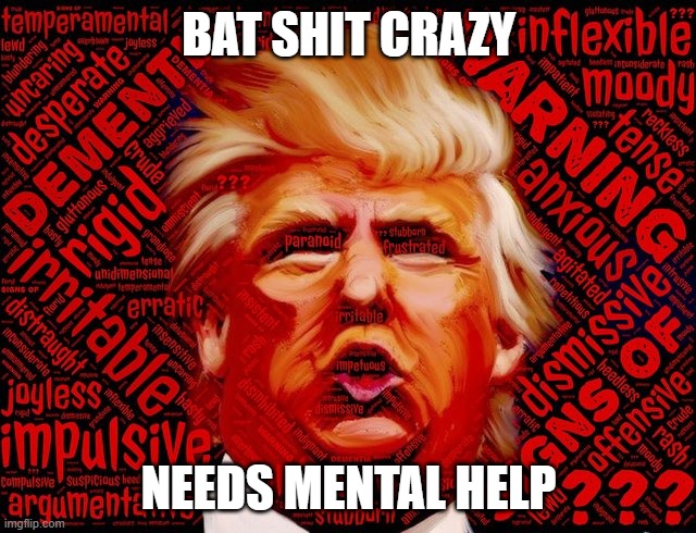 Americans Have Had ENOUGH With This Lunatic's BULLSHIT | BAT SHIT CRAZY; NEEDS MENTAL HELP | image tagged in liar,conman,fake,fraud,psychopath,loser | made w/ Imgflip meme maker