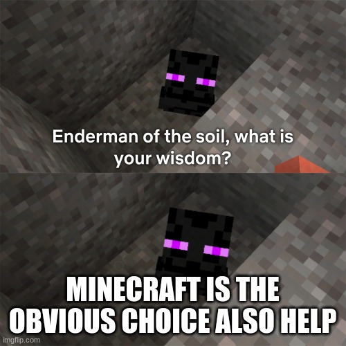 Enderman of the soil | MINECRAFT IS THE OBVIOUS CHOICE ALSO HELP | image tagged in enderman of the soil | made w/ Imgflip meme maker