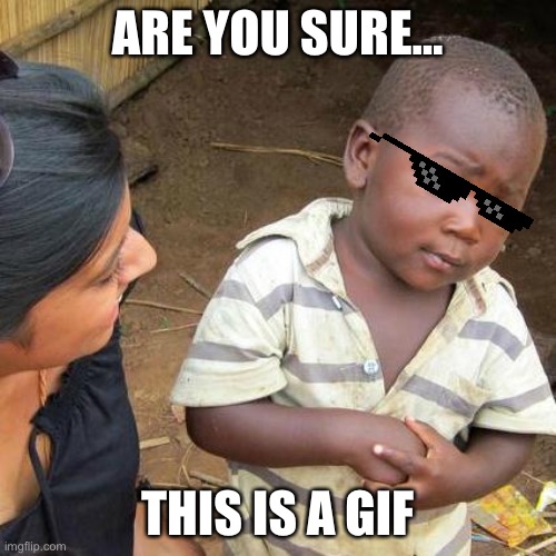 ARE YOU SURE… THIS IS A GIF | image tagged in memes,third world skeptical kid | made w/ Imgflip meme maker