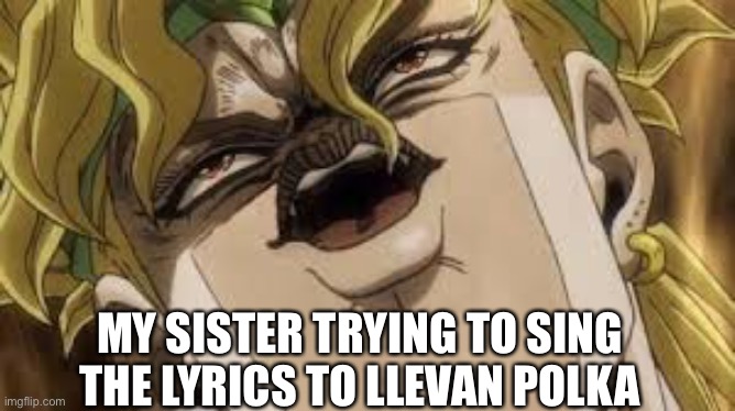This is what I hear when I play vocaloid | MY SISTER TRYING TO SING THE LYRICS TO LLEVAN POLKA | image tagged in dio | made w/ Imgflip meme maker