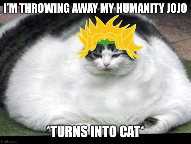 Fat Dio cat | I’M THROWING AWAY MY HUMANITY JOJO; *TURNS INTO CAT* | image tagged in dio cat | made w/ Imgflip meme maker