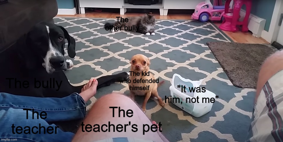 Chihuahua Going Crazy | The other bully; The bully; The kid who defended himself; "It was him, not me"; The teacher's pet; The teacher | image tagged in chihuahua going crazy | made w/ Imgflip meme maker