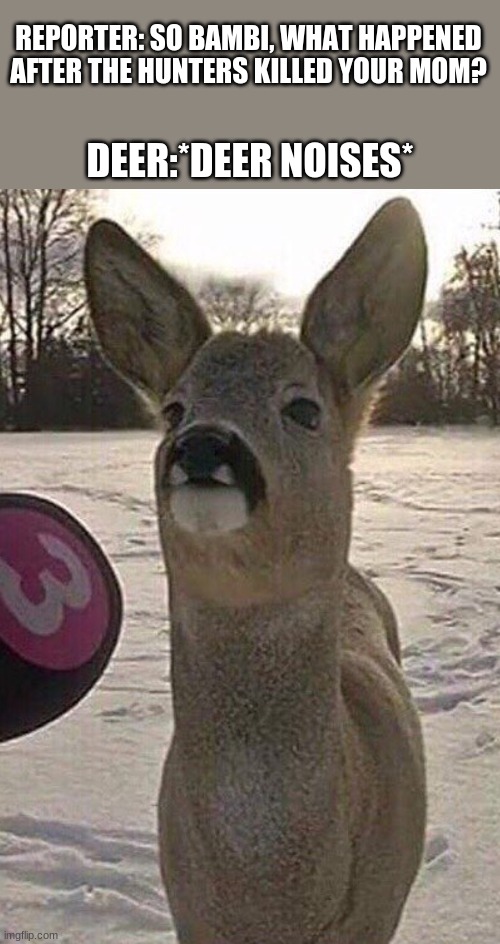 Deer interview | REPORTER: SO BAMBI, WHAT HAPPENED AFTER THE HUNTERS KILLED YOUR MOM? DEER:*DEER NOISES* | image tagged in deer interview | made w/ Imgflip meme maker
