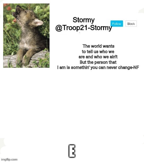 Stormys template | E | image tagged in stormys template | made w/ Imgflip meme maker