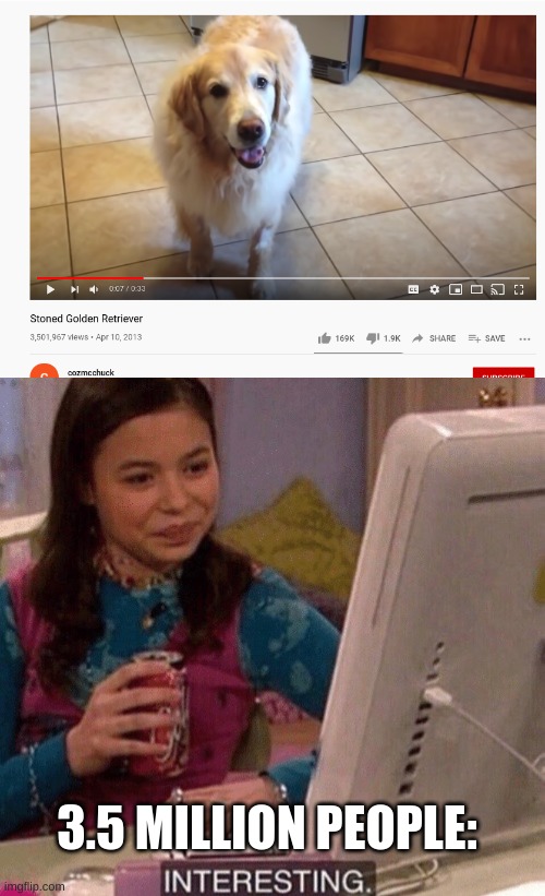 high golden retriever | 3.5 MILLION PEOPLE: | image tagged in icarly interesting | made w/ Imgflip meme maker