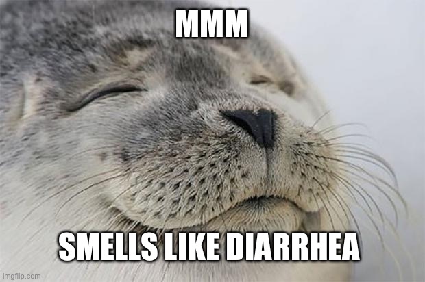 Mmm | MMM; SMELLS LIKE DIARRHEA | image tagged in memes,satisfied seal | made w/ Imgflip meme maker