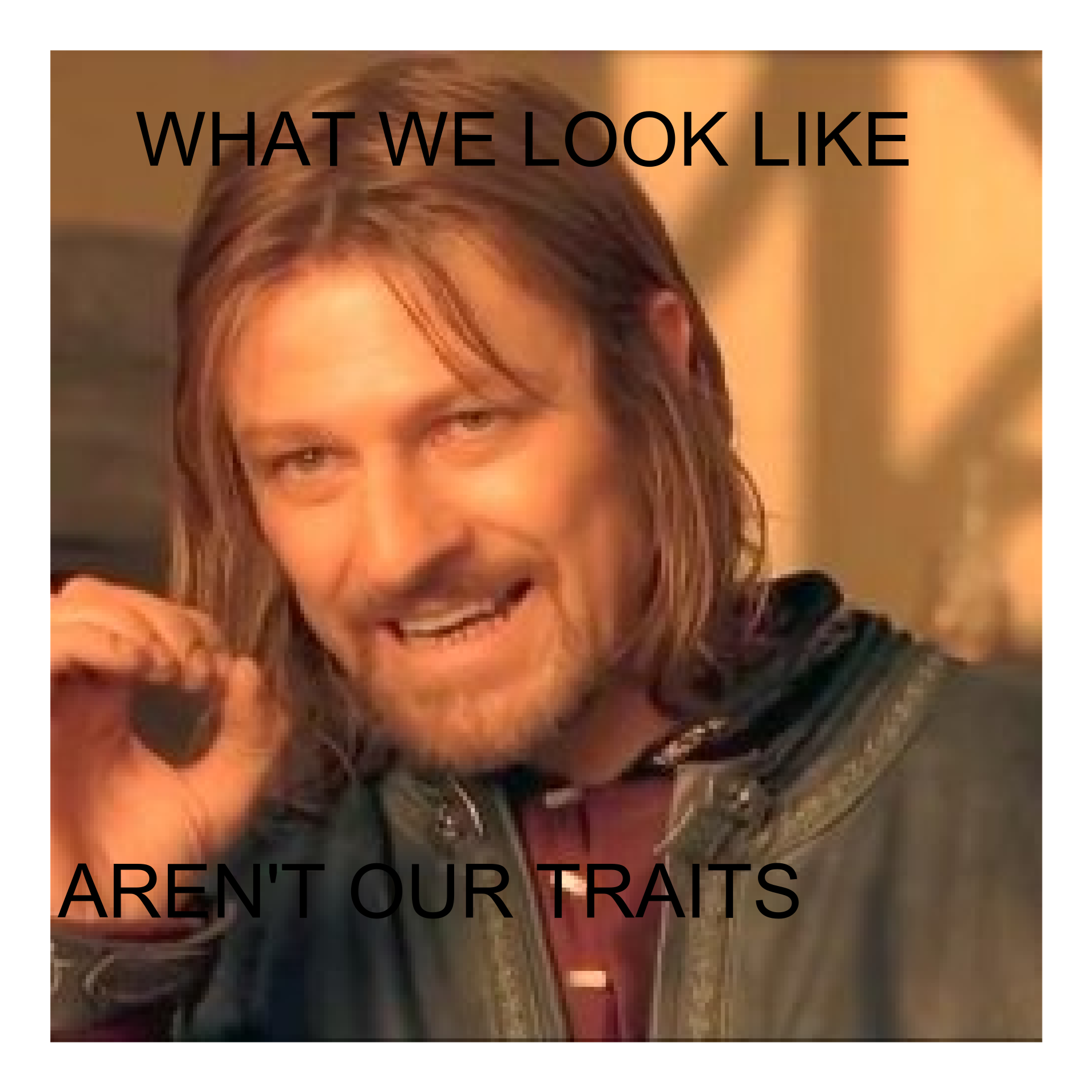 High Quality what we look like is not our traits Blank Meme Template