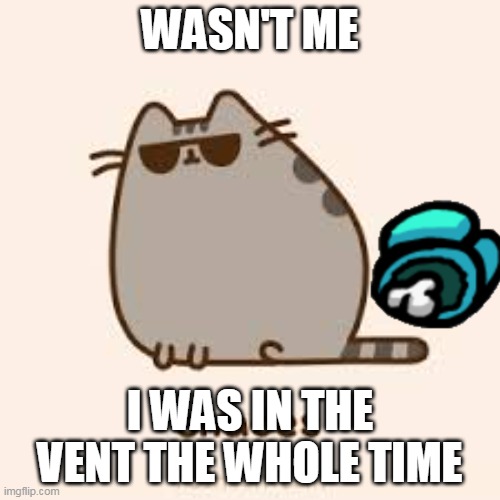 awesome pusheen | WASN'T ME; I WAS IN THE VENT THE WHOLE TIME | image tagged in awesome pusheen | made w/ Imgflip meme maker