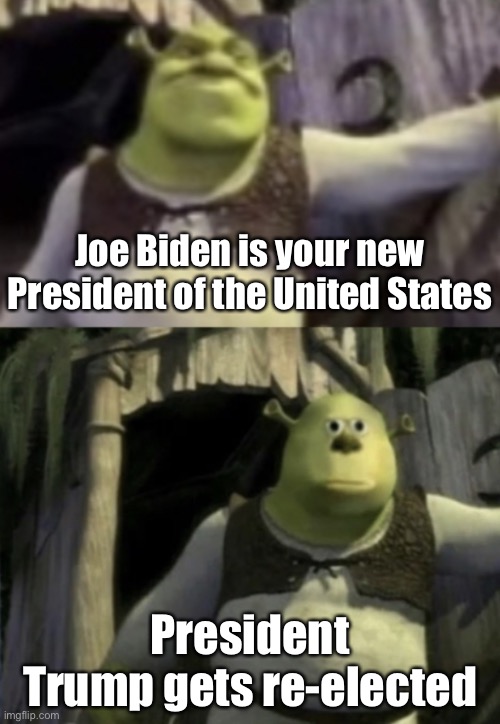 Trump didn’t get re-elected | Joe Biden is your new President of the United States; President Trump gets re-elected | image tagged in shocked shrek face swap,donald trump,joe biden,memes,trump 2020 | made w/ Imgflip meme maker