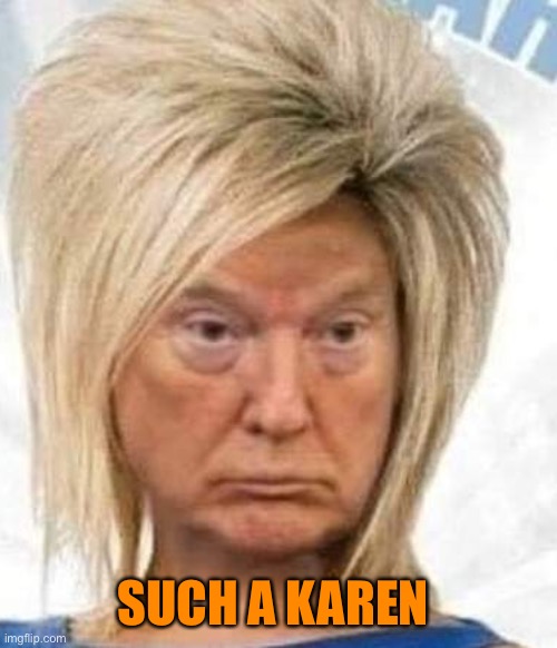 Trump karen | SUCH A KAREN | image tagged in trump karen | made w/ Imgflip meme maker
