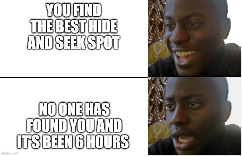 a hide and seek meme |  YOU FIND THE BEST HIDE AND SEEK SPOT; NO ONE HAS FOUND YOU AND IT'S BEEN 6 HOURS | image tagged in disappointed guy | made w/ Imgflip meme maker