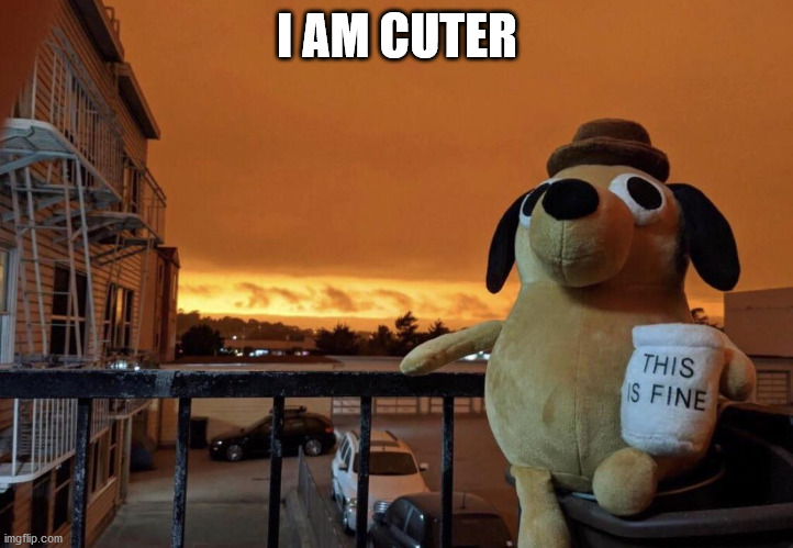 this is fine | I AM CUTER | image tagged in this is fine | made w/ Imgflip meme maker
