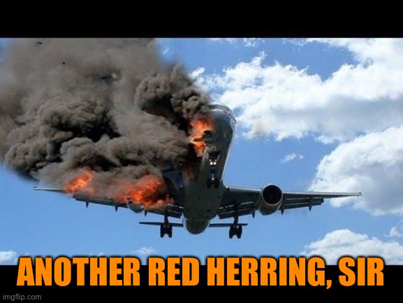 plane crash | ANOTHER RED HERRING, SIR | image tagged in plane crash | made w/ Imgflip meme maker