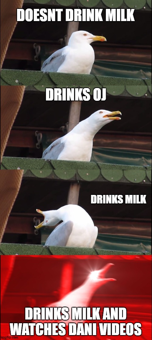Inhaling Seagull Meme | DOESNT DRINK MILK; DRINKS OJ; DRINKS MILK; DRINKS MILK AND WATCHES DANI VIDEOS | image tagged in memes,inhaling seagull,DaniDev | made w/ Imgflip meme maker