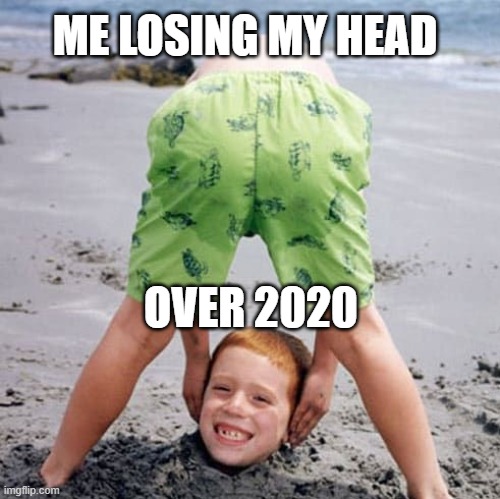 losing my head | ME LOSING MY HEAD; OVER 2020 | image tagged in 2020 | made w/ Imgflip meme maker