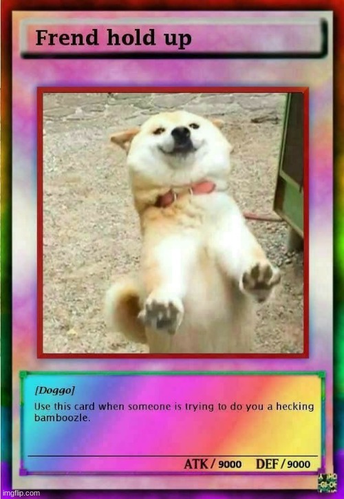 spam doggo memes cuz yes | image tagged in frend hold up | made w/ Imgflip meme maker