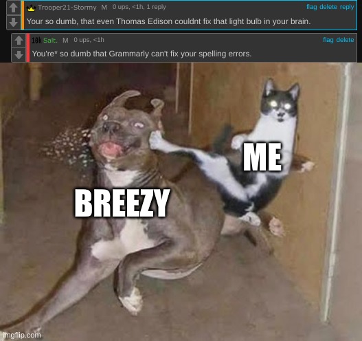 Before you say it was a grammatical error(which it was)I didn't feel like using "Gramm" twice in my roast. | ME; BREEZY | image tagged in get rekt,breezy,nacl,oof,memes,grammarly | made w/ Imgflip meme maker