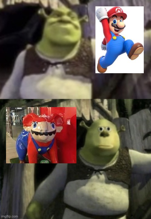 Come On, Nintendo! You got Mario so bootleg! | image tagged in shocked shrek face swap,nintendo,memes,super mario,bootleg | made w/ Imgflip meme maker