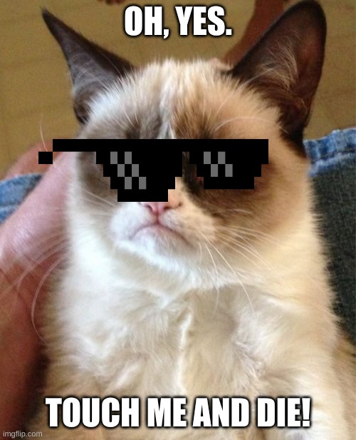 Grumpy Cat | OH, YES. TOUCH ME AND DIE! | image tagged in memes,grumpy cat | made w/ Imgflip meme maker