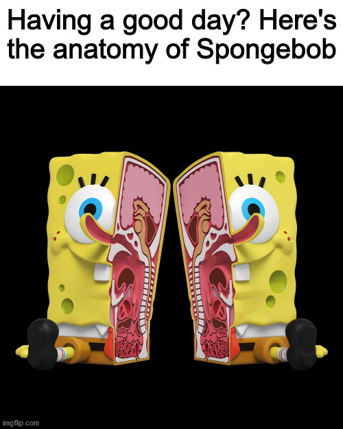 Having a good day? Here's the anatomy of Spongebob | image tagged in dankmemes | made w/ Imgflip meme maker