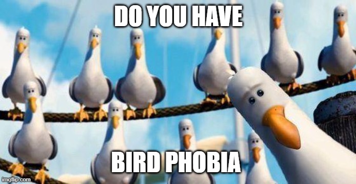 Birds |  DO YOU HAVE; BIRD PHOBIA | image tagged in nemo birds | made w/ Imgflip meme maker