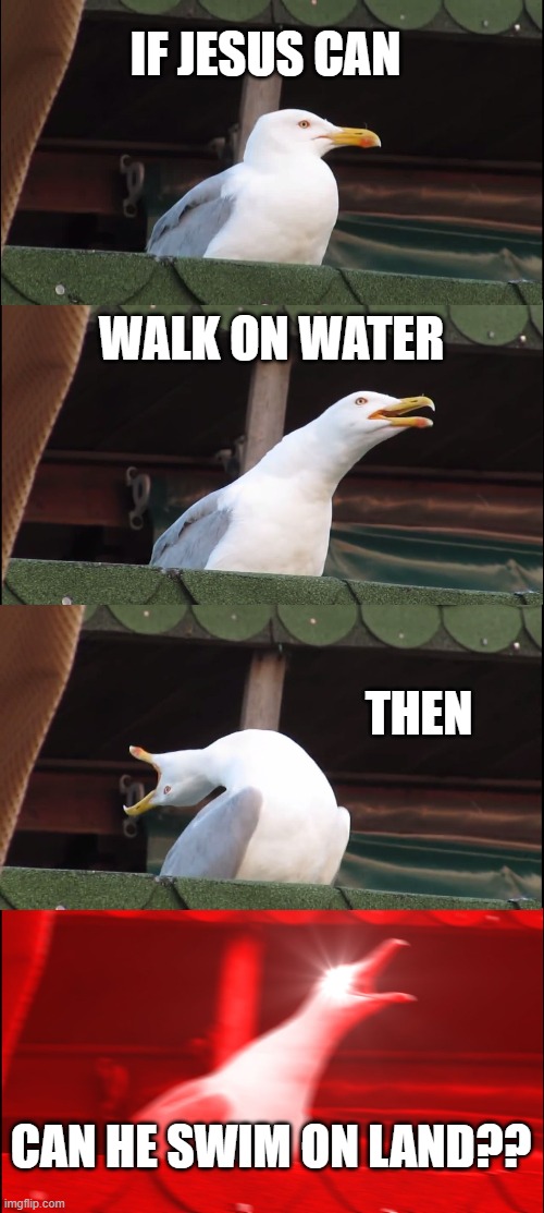 Inhaling Seagull Meme | IF JESUS CAN; WALK ON WATER; THEN; CAN HE SWIM ON LAND?? | image tagged in memes,inhaling seagull | made w/ Imgflip meme maker