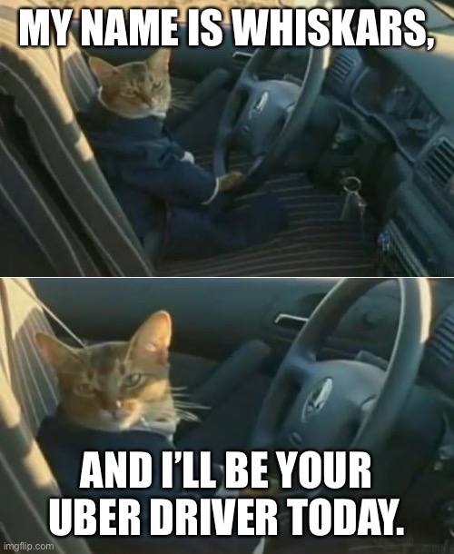 Boat Cat in Car | MY NAME IS WHISKARS, AND I’LL BE YOUR UBER DRIVER TODAY. | image tagged in boat cat in car | made w/ Imgflip meme maker