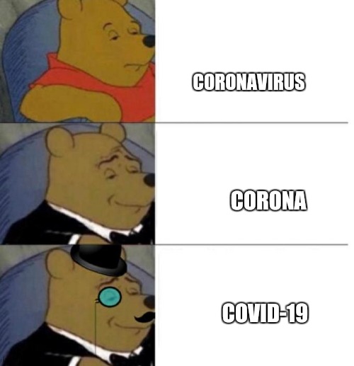 how peoples call covid-19 | CORONAVIRUS; CORONA; COVID-19 | image tagged in tuxedo winnie the pooh 3 panel | made w/ Imgflip meme maker