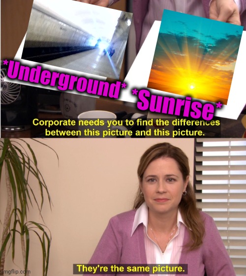 -Here comes the sunflower. | *Underground*; *Sunrise* | image tagged in memes,they're the same picture,sunrise,mother nature,metro,corporations | made w/ Imgflip meme maker