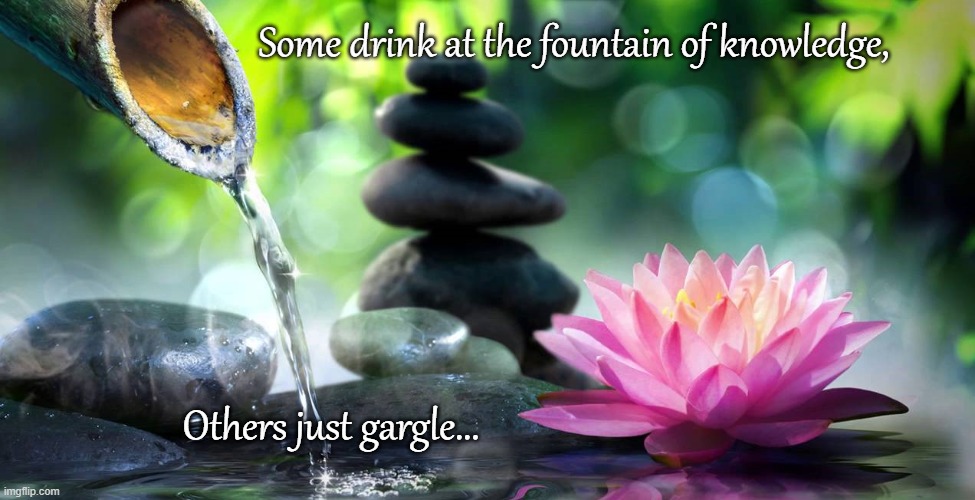 Knowledge... | Some drink at the fountain of knowledge, Others just gargle... | image tagged in some drink,some gargle,fountain of knowledge | made w/ Imgflip meme maker