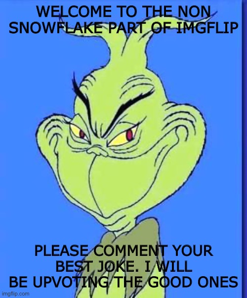 Good Grinch | WELCOME TO THE NON SNOWFLAKE PART OF IMGFLIP; PLEASE COMMENT YOUR BEST JOKE. I WILL BE UPVOTING THE GOOD ONES | image tagged in good grinch | made w/ Imgflip meme maker