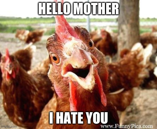 I hate you mother |  HELLO MOTHER; I HATE YOU | image tagged in chicken | made w/ Imgflip meme maker