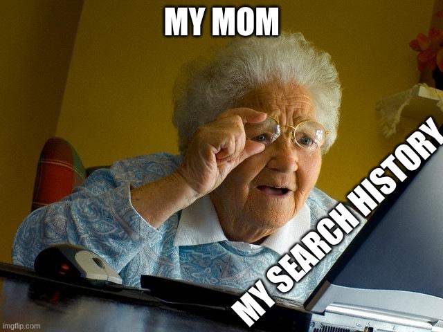 lol | MY MOM; MY SEARCH HISTORY | image tagged in memes,grandma finds the internet,lol,mum,upvote | made w/ Imgflip meme maker