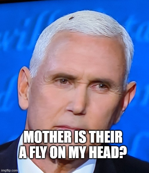 Mike Pence Fly | MOTHER IS THEIR A FLY ON MY HEAD? | image tagged in mike pence fly | made w/ Imgflip meme maker