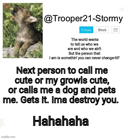 For the people who dont understand. Check my recent images | Next person to call me cute or my growls cute, or calls me a dog and pets me. Gets it. Ima destroy you. Hahahaha | image tagged in t21-stormy | made w/ Imgflip meme maker