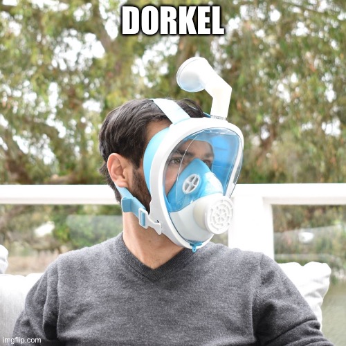 Dorkel | DORKEL | image tagged in mask stupid,memes,dork,virus,crazy,idiot | made w/ Imgflip meme maker