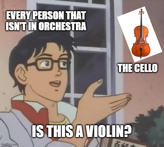 It's a Cello, Not a Violin |  EVERY PERSON THAT ISN'T IN ORCHESTRA; THE CELLO; IS THIS A VIOLIN? | image tagged in memes,is this a pigeon,orchestra,cello,violin | made w/ Imgflip meme maker