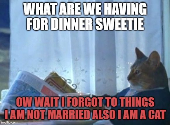 I Should Buy A Boat Cat | WHAT ARE WE HAVING FOR DINNER SWEETIE; OW WAIT I FORGOT TO THINGS I AM NOT MARRIED ALSO I AM A CAT | image tagged in memes,i should buy a boat cat | made w/ Imgflip meme maker